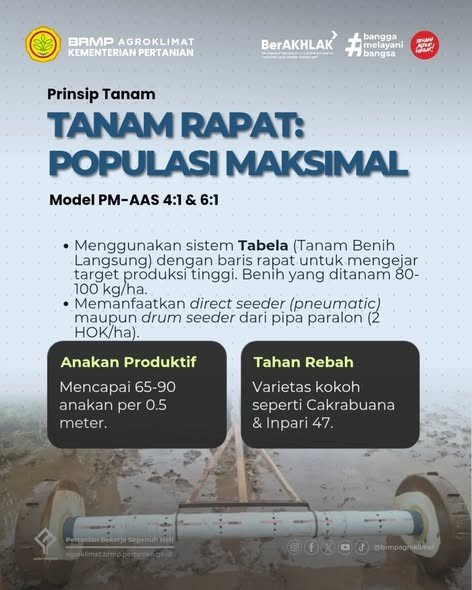 Implementasi Tanam Benih Langsung PM-AAS